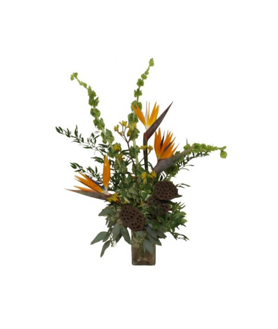 Arrangement Délice équatorial